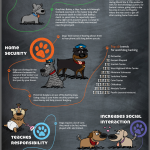 38 Benefits of Owning A Dog Infographic