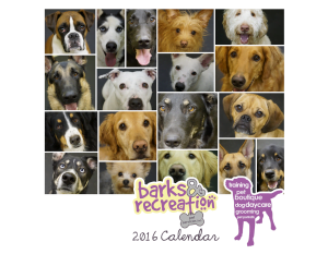 Barks and Recreation in Trail, BC 2016 Photo Wall Calendar