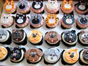 cupcake-day-spca-barks-and-rec-trail-bc