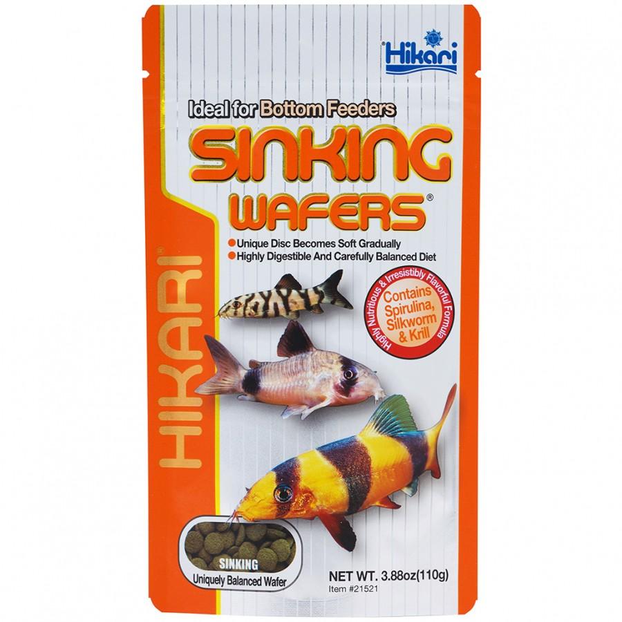 Hikari – Semi Floating Micro Pellets – 45GM (1.5oz)  Barks and Recreation  Pet Services in Trail, BC, Canada